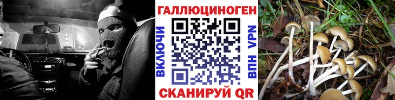 продажа наркотиков Краснотурьинск Псилоцибиновые грибы Psilocybine cubensis